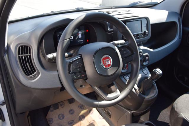 FIAT PANDA 1.0 FIREFLY HYBRID ICON S&S 65CV - foto 18