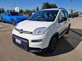 VENDO Auto a Imola – foto 1