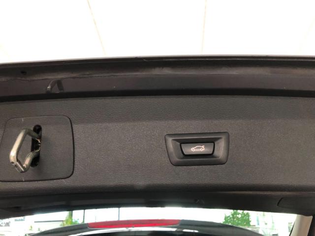 BMW X1 XDRIVE25E BUSINESS ADVANTAGE - foto 6