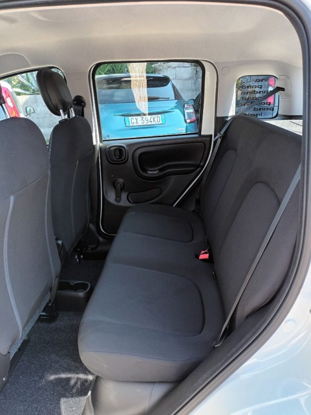 FIAT PANDA 1000 HYBRID PANDINA ICON 65CV PA - foto 6