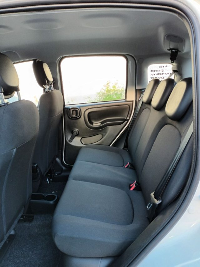 FIAT PANDA 1000 HYBRID PANDINA ICON 70CV 5P - foto 6