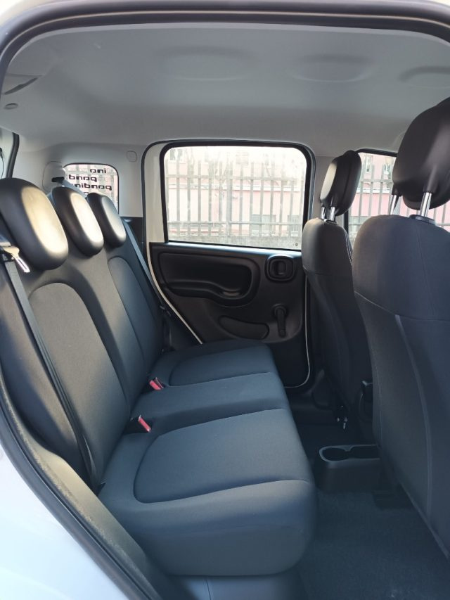 FIAT PANDA 1000 HYBRID PANDINA ICON 70CV 5P - foto 7