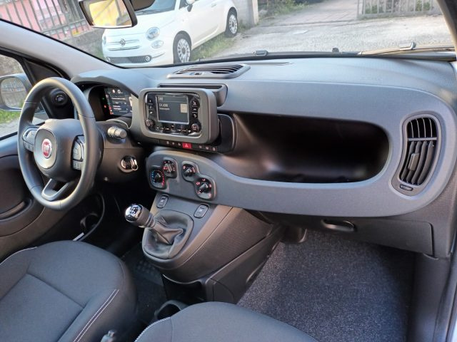 FIAT PANDA 1000 HYBRID PANDINA ICON 70CV 5P - foto 9