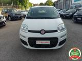 VENDO Auto a San Nicola Manfredi – foto 1