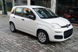 VENDO Auto a Atripalda – foto 1