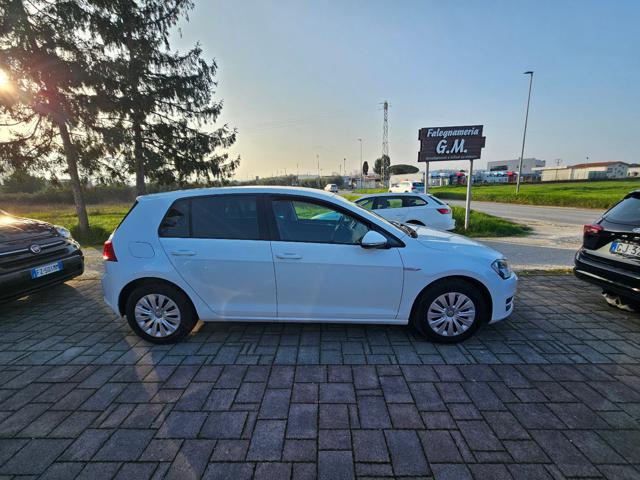 VOLKSWAGEN GOLF 1.4 TGI 5P. COMFORTLINE BLUEMOTI - foto 6