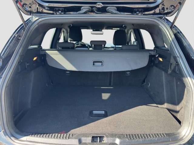 FORD FOCUS FOCUS 1.5 ECOBLUE 120 CV AUTOMAT - foto 13