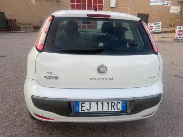 FIAT PUNTO EVO 1.4 5P  NATURAL POWER SENZA NESS - foto 9