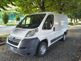 VENDO Veicoli commerciali a Mantello – foto 1