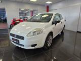 VENDO Auto a Vicolungo – foto 1