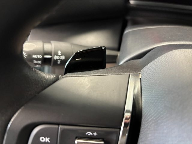 CITROEN C4 1.5 DIESEL EAT8 MAX AUTOMATICO - foto 30
