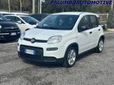 VENDO Auto a Pignataro Maggiore – foto 1
