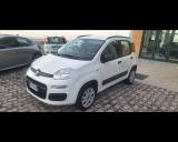 VENDO Auto a Cingoli – foto 1