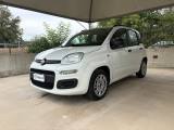 VENDO Auto a Pavia – foto 1