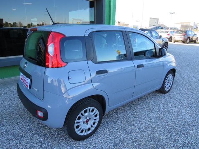 FIAT PANDA 1.0 FIREFLY S&S HYBRID - foto 6
