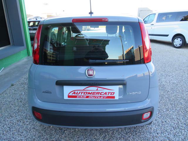 FIAT PANDA 1.0 FIREFLY S&S HYBRID - foto 7