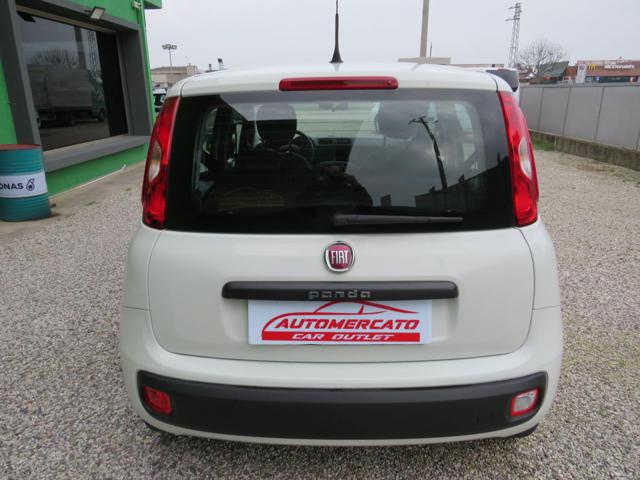 FIAT PANDA 1.2 EASY S&S 1200 C.C. - foto 7