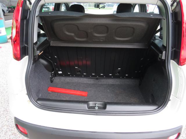 FIAT PANDA 1.2 EASY S&S 1200 C.C. - foto 13