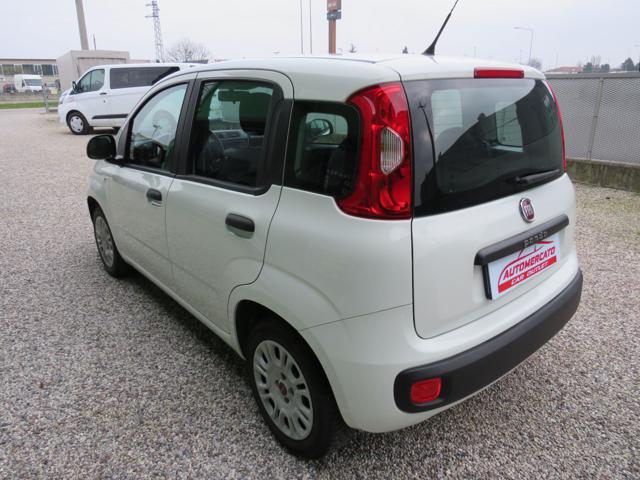 FIAT PANDA 1.2 EASY S&S 1200 C.C. - foto 8