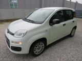 VENDO Auto a Badia Polesine – foto 1