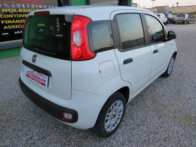 FIAT PANDA 1.2 EASY S&S 1200 C.C. - foto 6