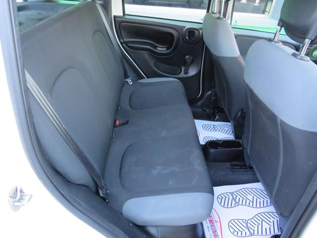 FIAT PANDA 1.2 EASY S&S 1200 C.C. - foto 19