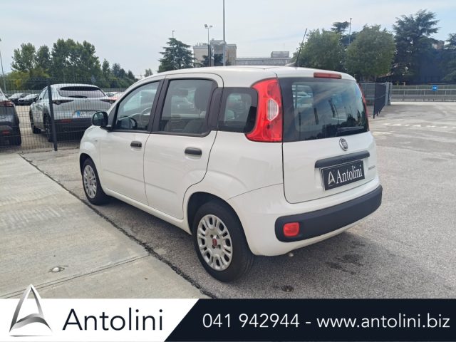 FIAT PANDA 1.0 FIREFLY S&S HYBRID - foto 6