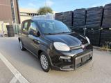 VENDO Auto a Pianiga – foto 1