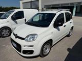 VENDO Veicoli commerciali a Tolentino – foto 1