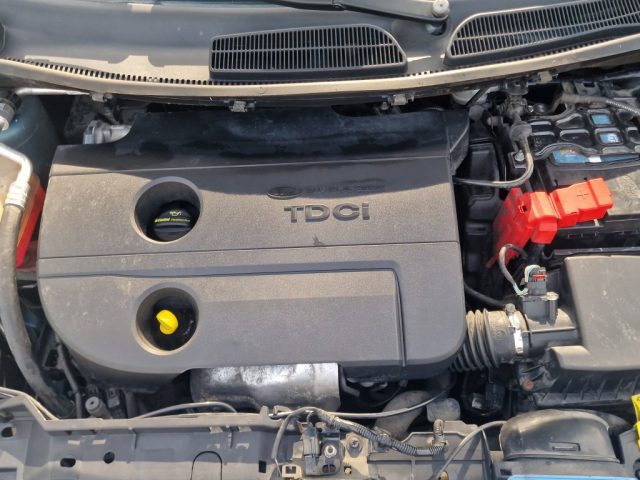 FORD FIESTA 1.4 TDCI 5P. TITANIUM - foto 21