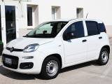 VENDO Auto a Due Carrare – foto 1
