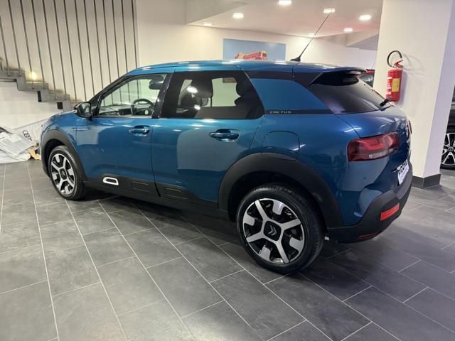 CITROEN C4 CACTUS PURETECH 110 S&S EAT6 SHINE - foto 8