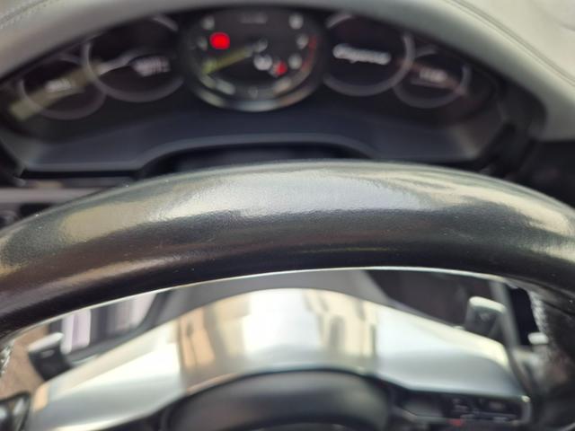 PORSCHE CAYENNE 3.0 V6 E-HYBRID - foto 12