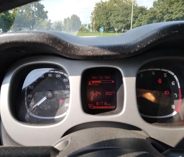 FIAT PANDA 1.0 FIREFLY S&S HYBRID CITY CROS - foto 8