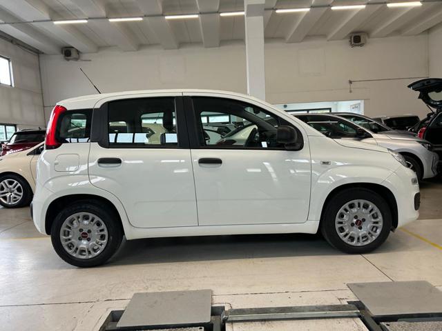 FIAT PANDA 1.0 FIREFLY S&S HYBRID - foto 7