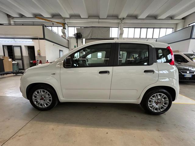 FIAT PANDA 1.0 FIREFLY S&S HYBRID - foto 8