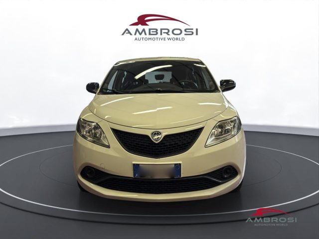LANCIA YPSILON 1.2 69 CV 5 PORTE GOLD - foto 7