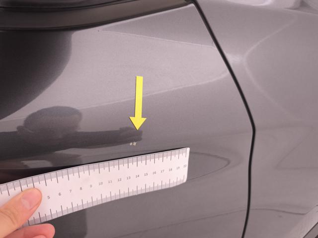 BMW X1 SDRIVE18D BUSINESS ADVANTAGE - foto 37