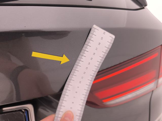 BMW X1 SDRIVE18D BUSINESS ADVANTAGE - foto 34