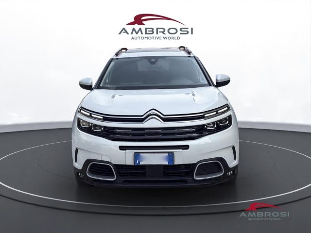 CITROEN C5 BLUEHDI 130 S&S EAT8 SHINE - foto 7
