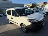 VENDO Veicoli commerciali a Tolentino – foto 1