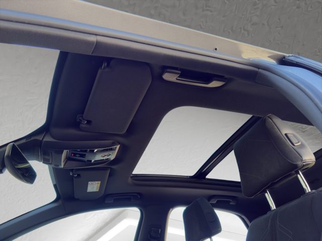 DS AUTOMOBILES DS 7 PERFORMANCE LINE 130 CV AUTOMATI - foto 18