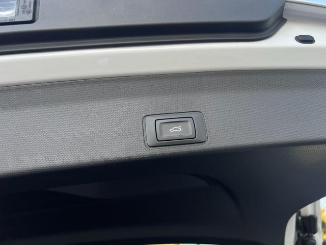 CUPRA TERRAMAR 1.5 MILDHYBRID - foto 50