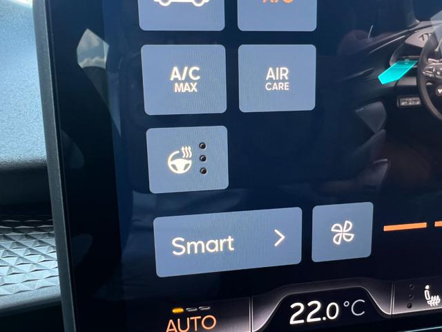 CUPRA TERRAMAR 1.5 MILDHYBRID - foto 32