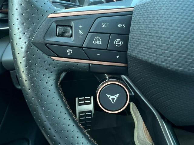 CUPRA TERRAMAR 1.5 MILDHYBRID - foto 20