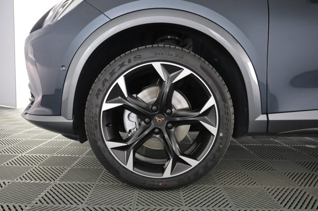 CUPRA FORMENTOR FORMENTOR 2.0 TDI 4DRIVE DSG - foto 8