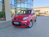 VENDO Auto a Castelfranco di Sotto – foto 1