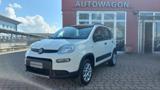 FIAT Panda 0.9 TwinAir Turbo S&S 4x4 Az. Italia Certificata