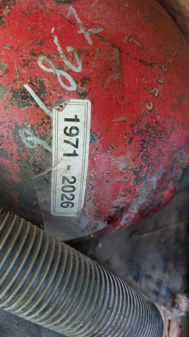 FIAT PANDA 1ª SERIE 1100 I.E. CAT YOUNG - foto 15
