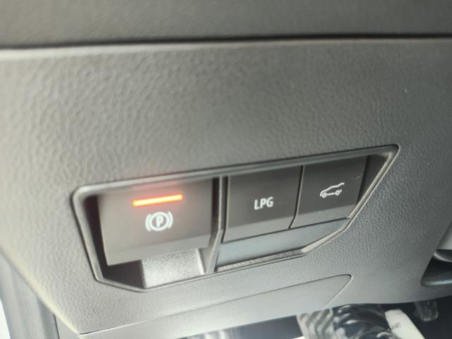 DACIA BIGSTER 1.2 ECO-G 140 CV EXTREME - foto 24